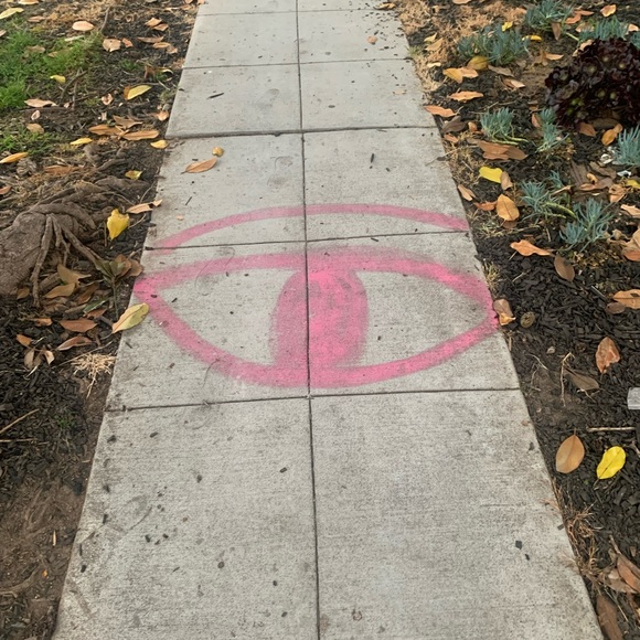 Meet your Posher, Mara - Picture 1 of 1